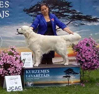 VLANTI DELIMAR kennel