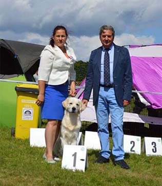 VLANTI DELIMAR kennel